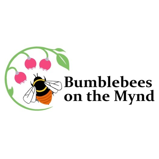 Bumblebees on the Mynd