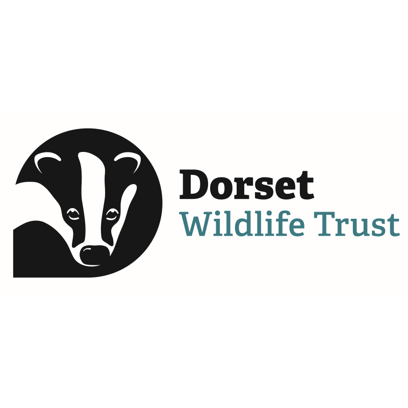 Dorset Wildlife Trust