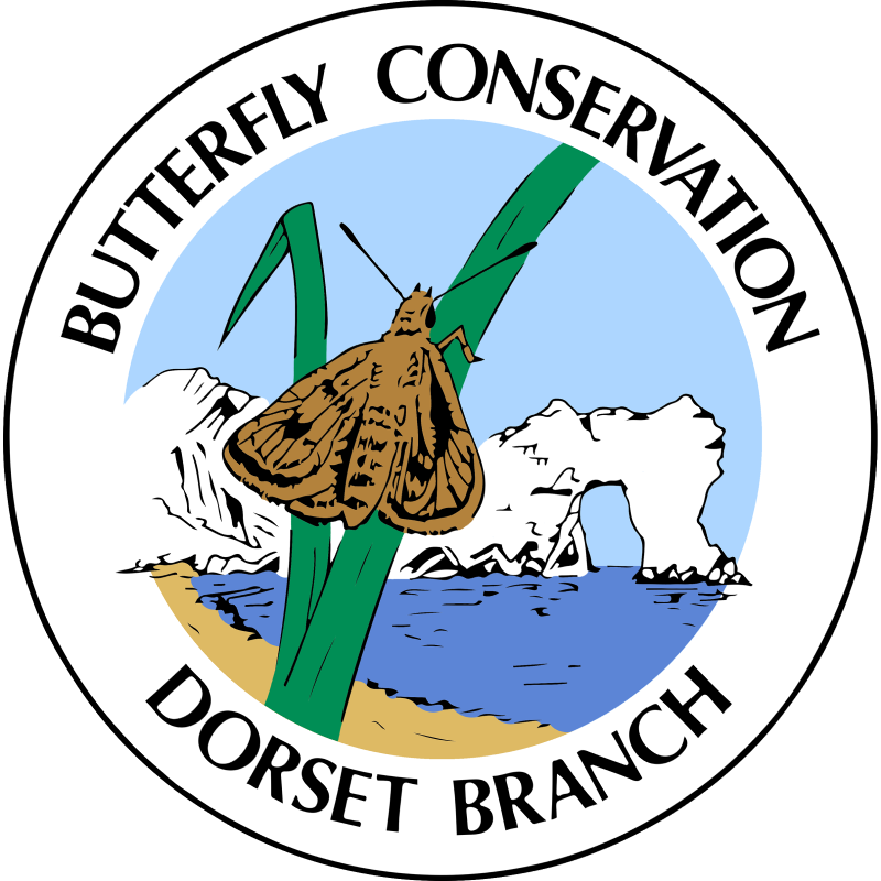 Butterfly Conservation Dorset