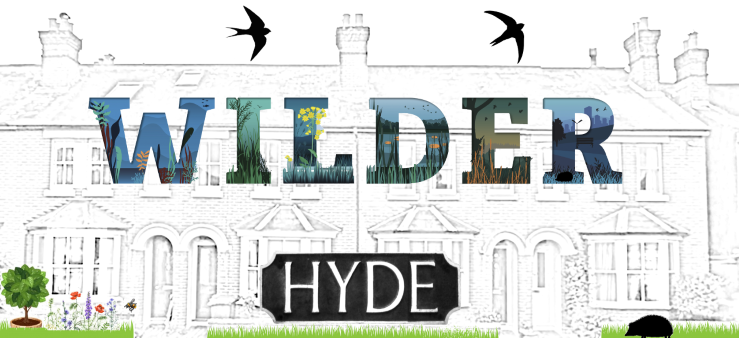Wilder Hyde