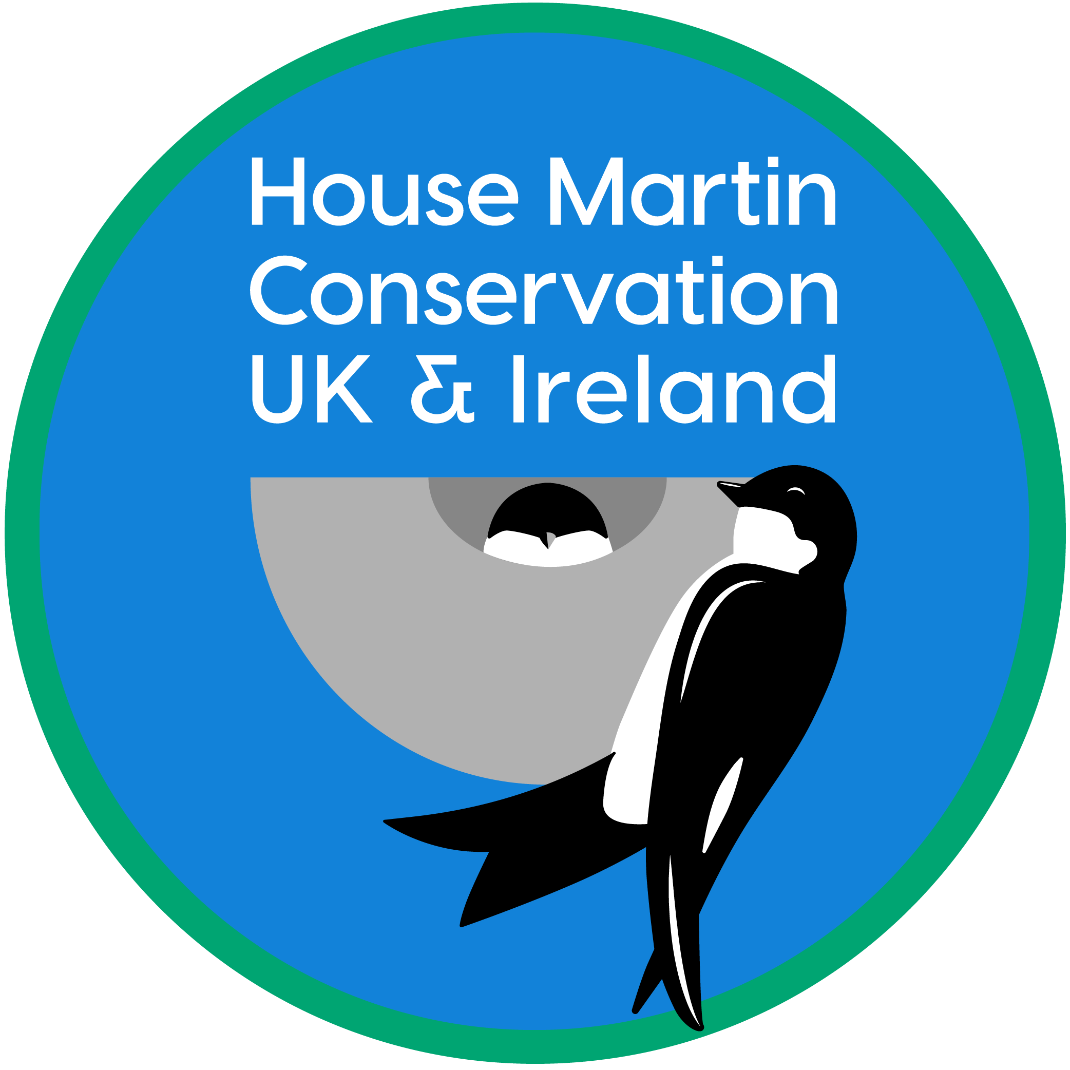 House Martin Conservation UK and Ireland