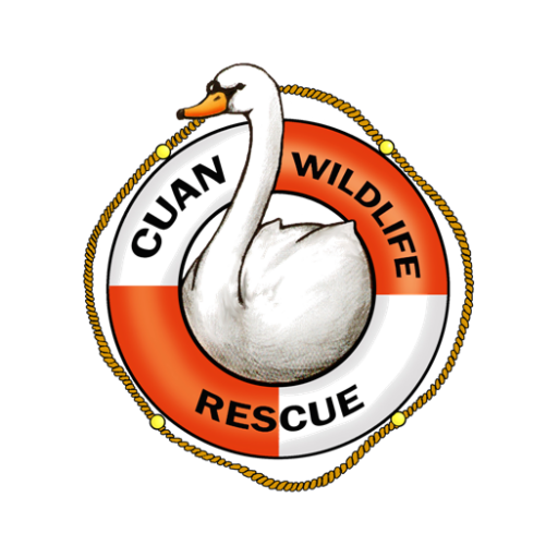 Cuan Wildlife Rescue