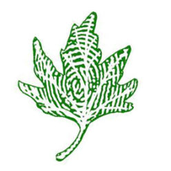 Oxford Green Print