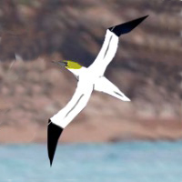 Marine Discovery Penzance
