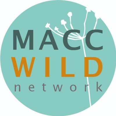 Macc Wild Network