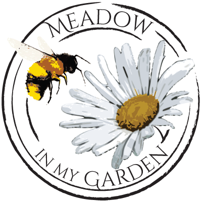 Meadow in My Garden