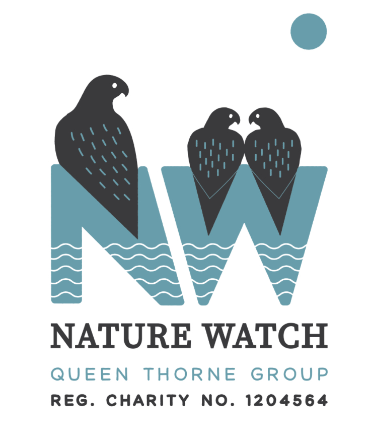 QT Nature Watch