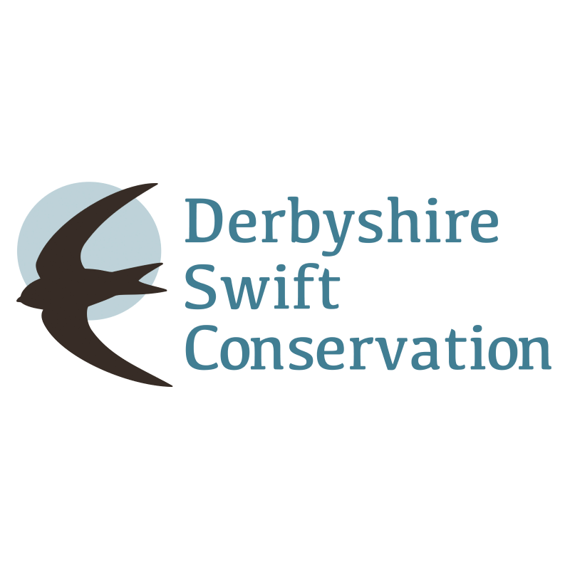 Derbyshire Swift Conservation