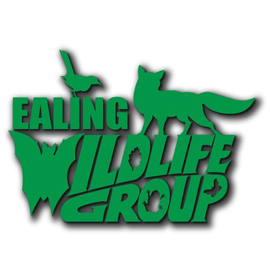 Ealing Wildlife Group