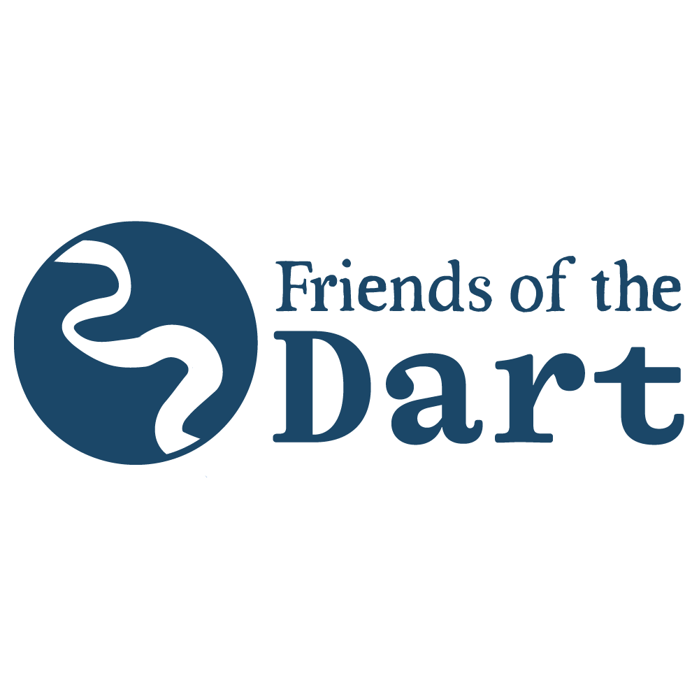 Friends of the Dart