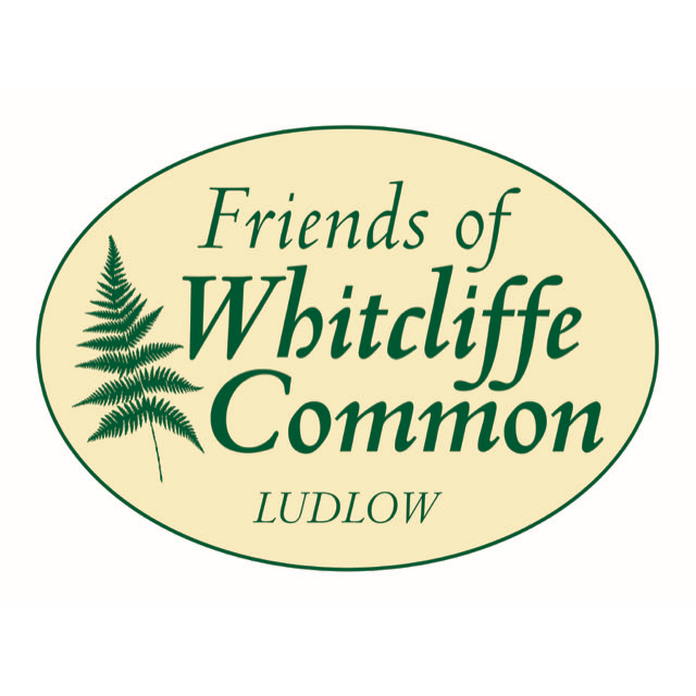 Friends of Whitcliffe Common