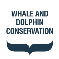 Whale and Dolphin Conservation
