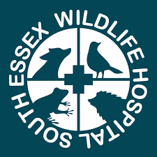South Essex Wildlife Hospital