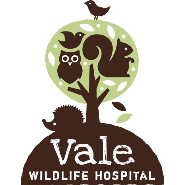 Vale Wildlife Hospital