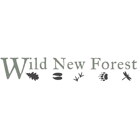 Wild New Forest