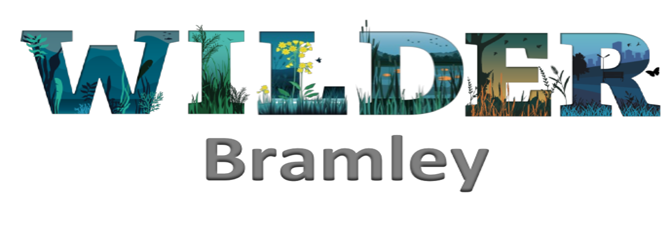 Wilder Bramley