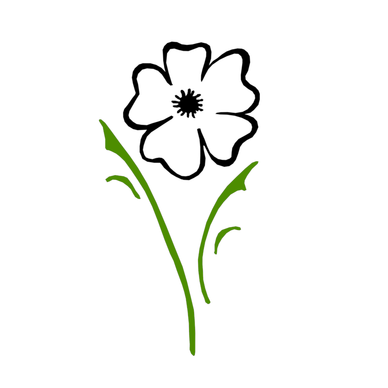 Yorkshire Rewilding Network