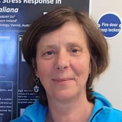 Prof Christine A Maggs