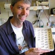 Prof Jeremy Field