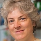 Prof Judy Hirst FRS FMedSci
