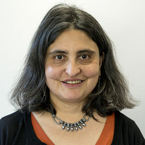 Prof Lyla Mehta