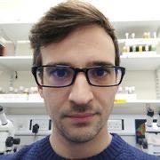 Dr Marc Amoyel