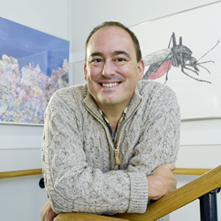 Prof Tim Coulson