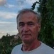 Prof Rory P Wilson