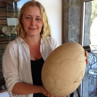 Dr Rebecca Thomas