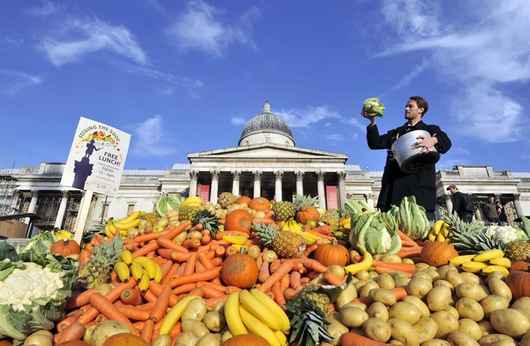 Feedback - Fighting for a Sustainable Food System