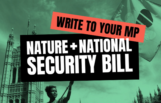 Write to your MP about the Nature + National Security Bill