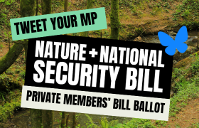 Tweet your MP about the Private Members' Bill ballot