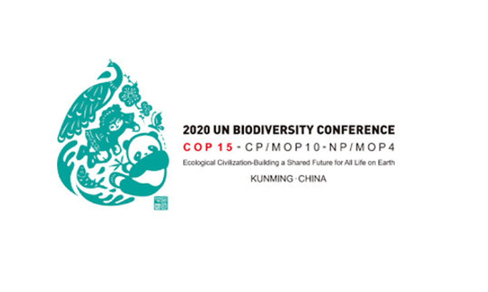 Let's seize the chance to restore nature at COP15
