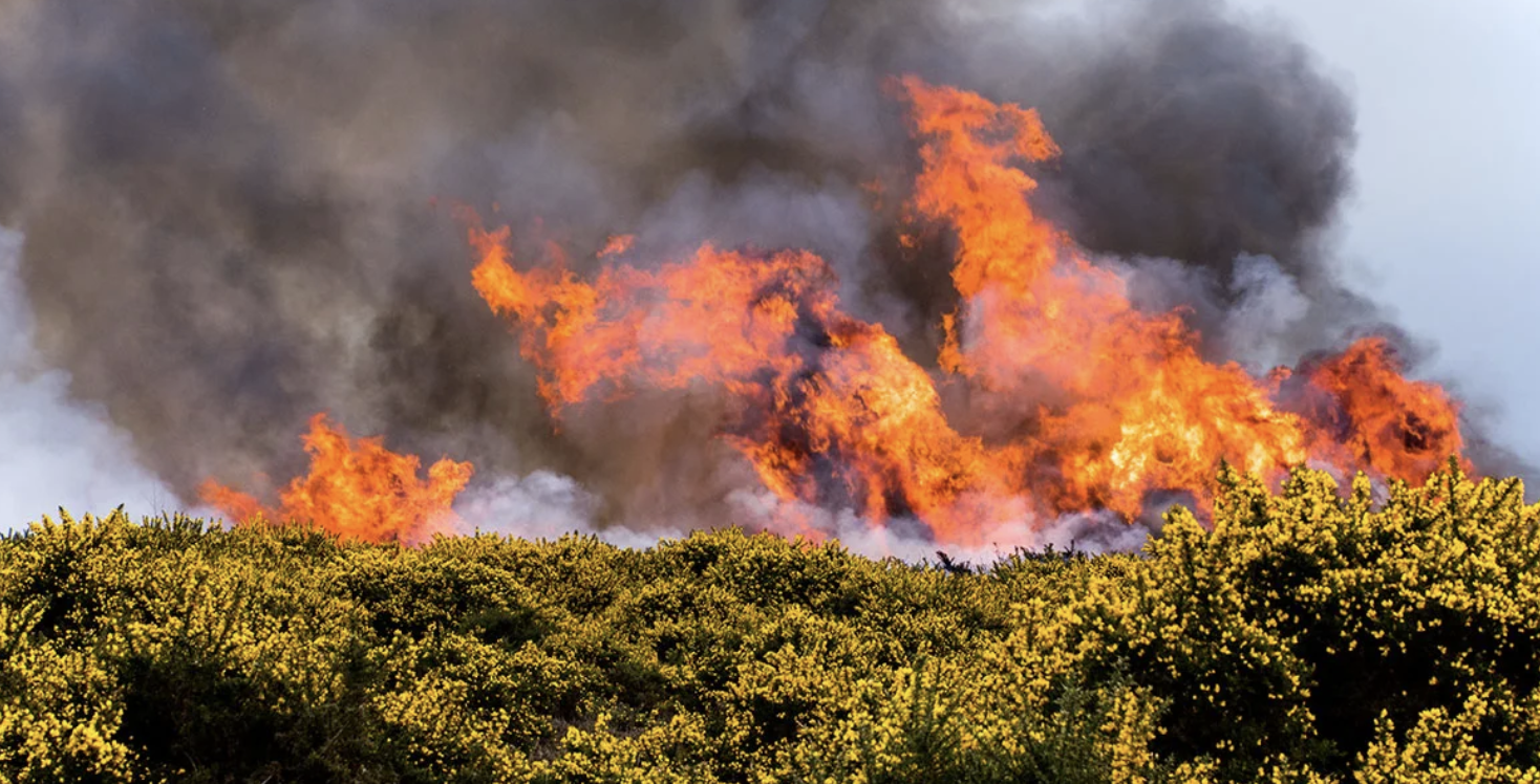 Rethinking National Security: Climate-Nature threat to cost of living and security