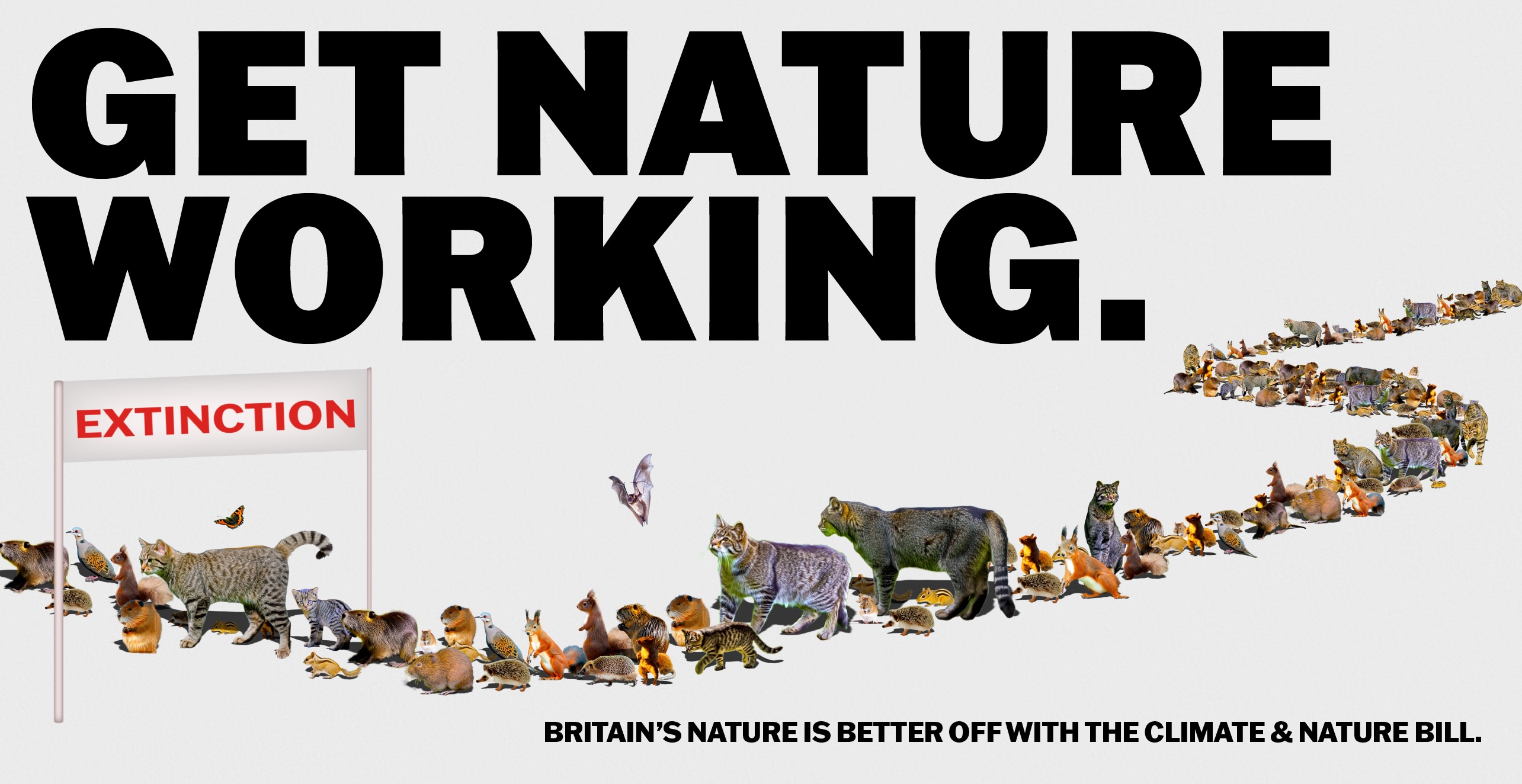To get nature working, we need to work for nature.