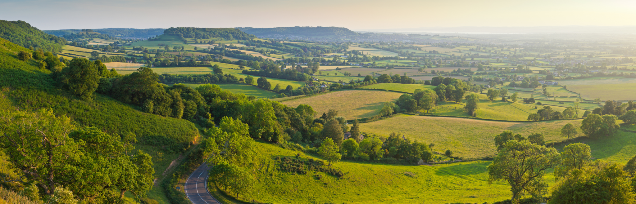 EU Nature Restoration Law: A step in the right direction