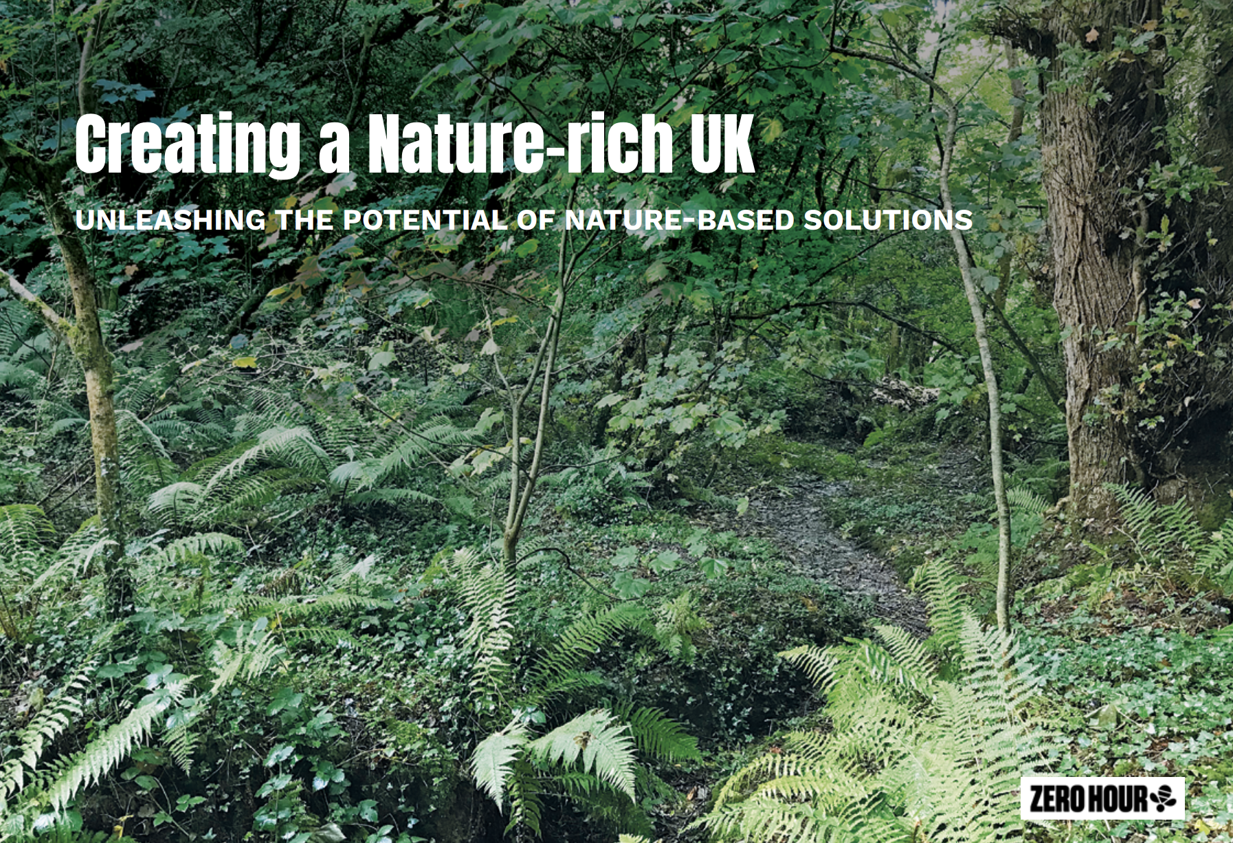 Cover of Creating a nature rich uk