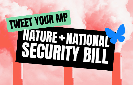 Tweet your MP about the Nature + National Security Bill