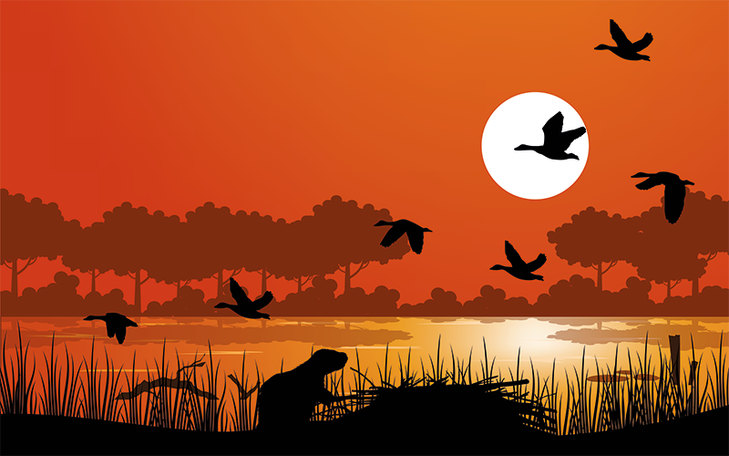 Tackling the nature-climate crisis