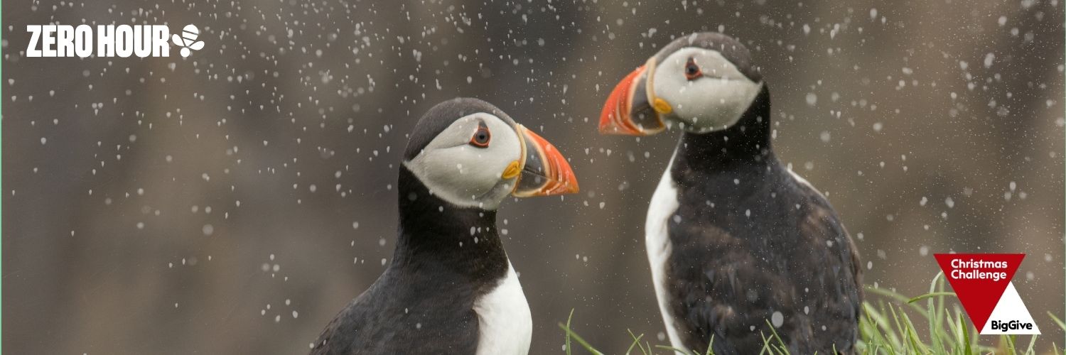 Double your donation for Climate and Nature 🌿