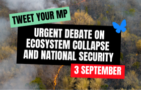 Tweet your MP about the nature loss and national security debate