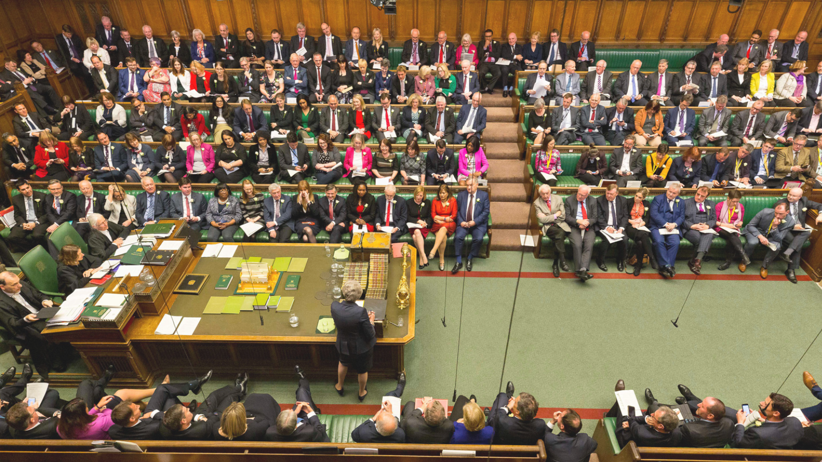 This week marked 6 years since Parliament declared an environment and climate change emergency