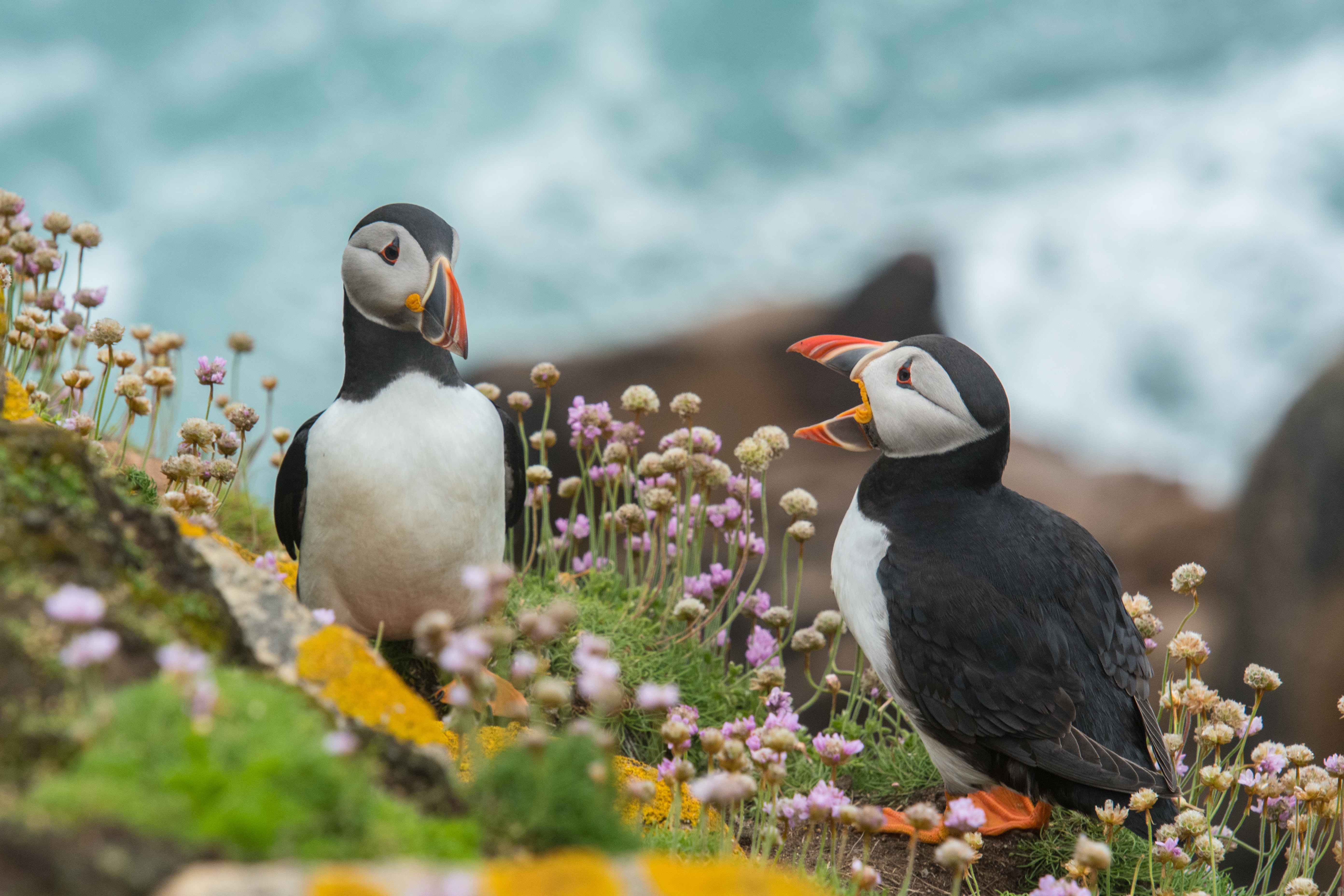 State of Nature Report: A call for bold action
