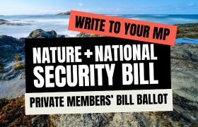 Write to your MP about the Private Members' Bill ballot
