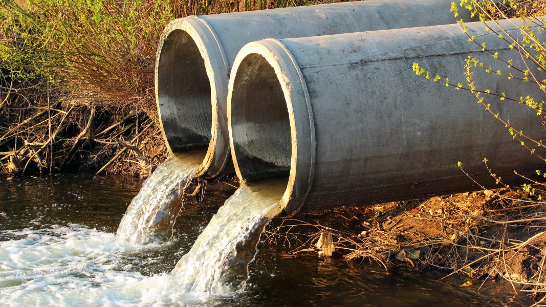 We CAN fix this! How the Climate and Nature Bill will restore our waterways