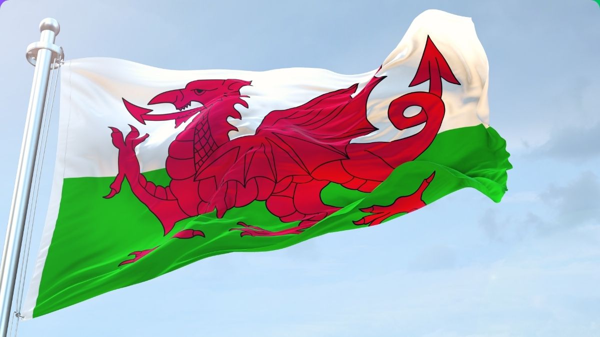Nature Positive Future in Wales: Is Westminster going to follow?