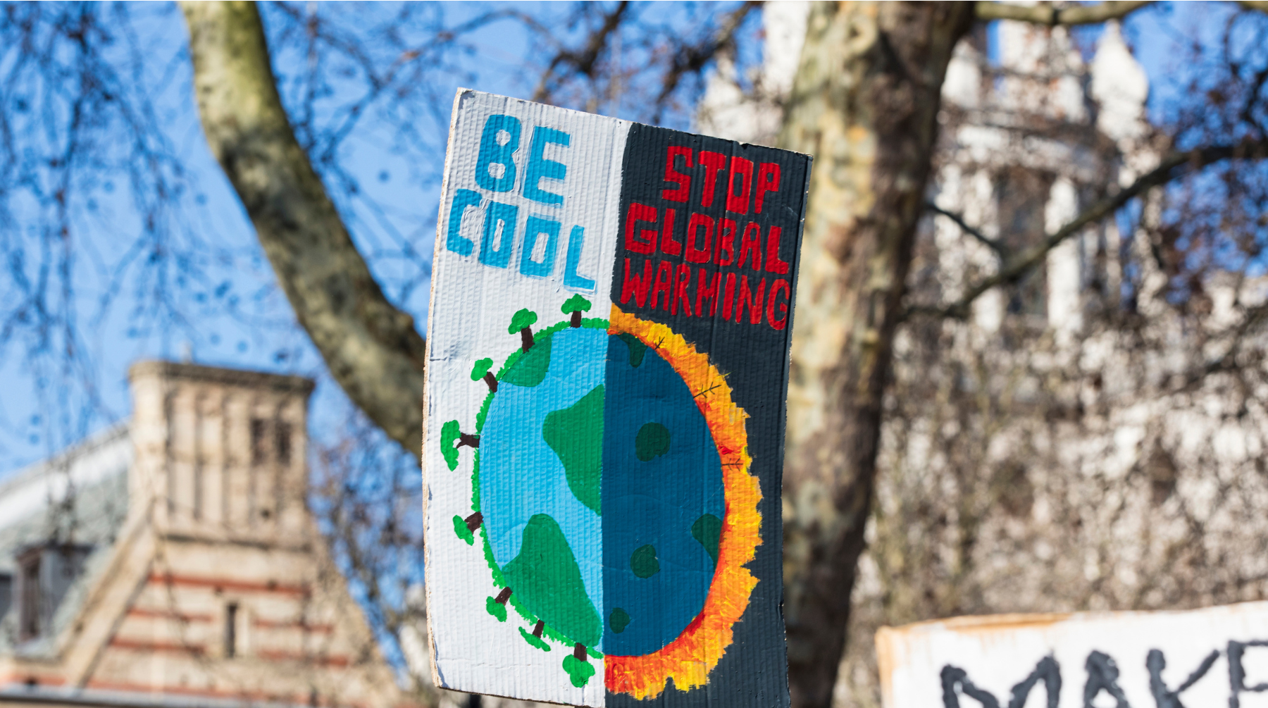 Playing with fire: How polarisation inhibits climate action