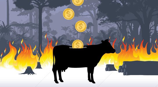 Global Witness - Pushing for Accountability in Global Resource Exploitation