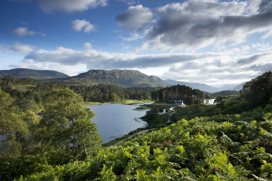 Britain’s Biodiversity Plan: Progress Without Punch