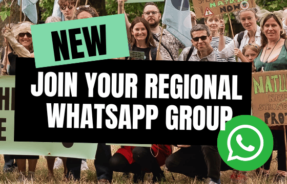 Regional WhatsApp Group